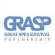 grasp_logo-1-e1580130294473-okalextszgd83halzr90kvvir53ivtqytw728dual2