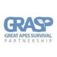 grasp_logo-1-e1580130294473-okalextszgd83halzr90kvvir53ivtqytw728dual2